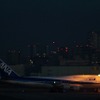 羽田空港で沖留めされる機体。第2ターミナルの新設されたゲートを利用する搭乗客でないと見ることができなかった光景。今年1月の撮影。