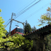 叡山電鉄は6月末までの土曜・休日、紅葉の名所「もみじのトンネル」で、新緑の時期に初めて徐行運転を実施「青もみじのトンネル」としてPRする。写真は新緑の中を走る叡山電鉄900系「きらら」
