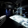Lexus Design Amazing 2014