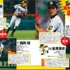 昭文社・まっぷる 阪神タイガース