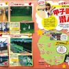 昭文社・まっぷる 阪神タイガース