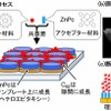 プロセスの詳細と作製した発電層の構造