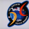 アジア人初のISS船長、若田宇宙飛行士が無事帰還…「人が自然に調和するようなチームに」