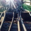 鉄橋２カ所で爆弾爆発、線路断絶　タイ深南部