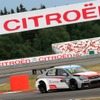 FIA世界ツーリングカー選手権（WTCC）