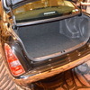 光岡自動車 リューギ