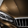 新型BMW X6 のBMWインディビジュアル仕様