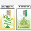道徳の教科書