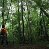 時間にゆとりがあるから、山の植物をじっくり観察できるのも低山の魅力だ。