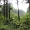 井殿山から無事に下山。往復で2時間弱。物足りない方には津室山との縦走コースもある。