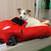 車型のクッション
