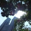 東京西新宿（7月22日）