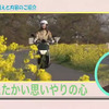 原付スクーター Safety Riding !