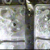 S-310-43号機「ロケット慣性飛行中の二相流挙動及び熱伝達特性の観測」画像（出典：JAXA）