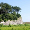 宮城県 七ヶ浜地区