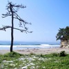 宮城県 七ヶ浜地区
