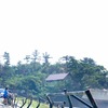 宮城県 七ヶ浜地区