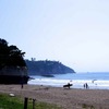 宮城県 七ヶ浜地区