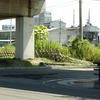 塩竈市内