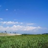 宮城県 矢本地区