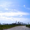 宮城県 矢本地区