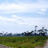 宮城県 矢本地区