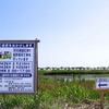 宮城県 矢本地区