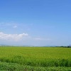 宮城県 矢本地区