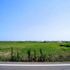 宮城県 矢本地区