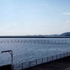 石巻市 サン・ファン・バウティスタパーク