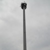 緑化を実施した基地局