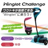Winglet Challenge