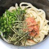 カメリヤうどん（東京都／めんこや）