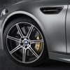 BMW・30 Jahre（ドライスィヒ・ヤーレ）M5