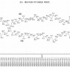 現在の生活に対する満足度（時系列）