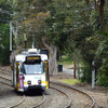 Melbourne Zoo駅付近の専用軌道を眺める。この電車はWest Coburg方面（Route 55）へと走るZ-class。
