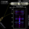 「ひさき」が観測したイオプラズマトーラスの極端紫外スペクトル（出典：JAXA）