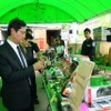 タイ当局、密輸「iPhone6」や高級車など押収