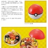 「ポケットモンスターオフィシャルサイト」より