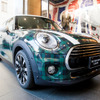 The New Blackwatch MINI