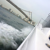 トヨタ PONAM-31