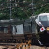 復路ではE655系「なごみ（和）」を使用する。写真はお召列車使用時の編成。
