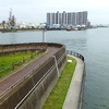 今井児童交通公園の南側で新中川と旧江戸川が合流する