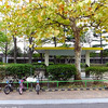 今井児童交通公園には自転車や補助輪付自転車もある