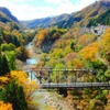 今週の土曜日に紅葉狩りはいかが？　ウェザーニューズ、第三回紅葉見頃予想