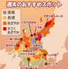 今週の土曜日に紅葉狩りはいかが？　ウェザーニューズ、第三回紅葉見頃予想