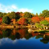 今週の土曜日に紅葉狩りはいかが？　ウェザーニューズ、第三回紅葉見頃予想