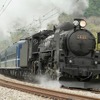 『SL奥久慈清流ライン号』は写真のC61 20がけん引する。