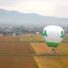 着陸した熱気球