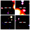 今回の観測で見つかった131億光年先のライマンα輝線銀河（LAE銀河）のカラー画像（出典：東京大学／国立天文台）